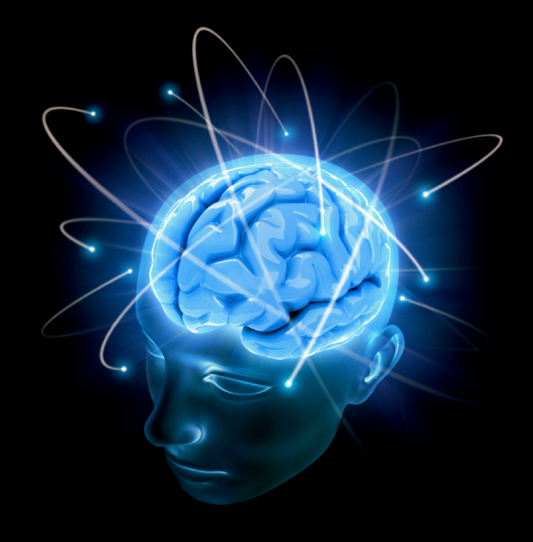 cerebro-3