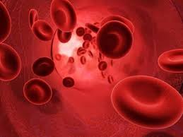 Alimentación a partir de tu tipo de sangre