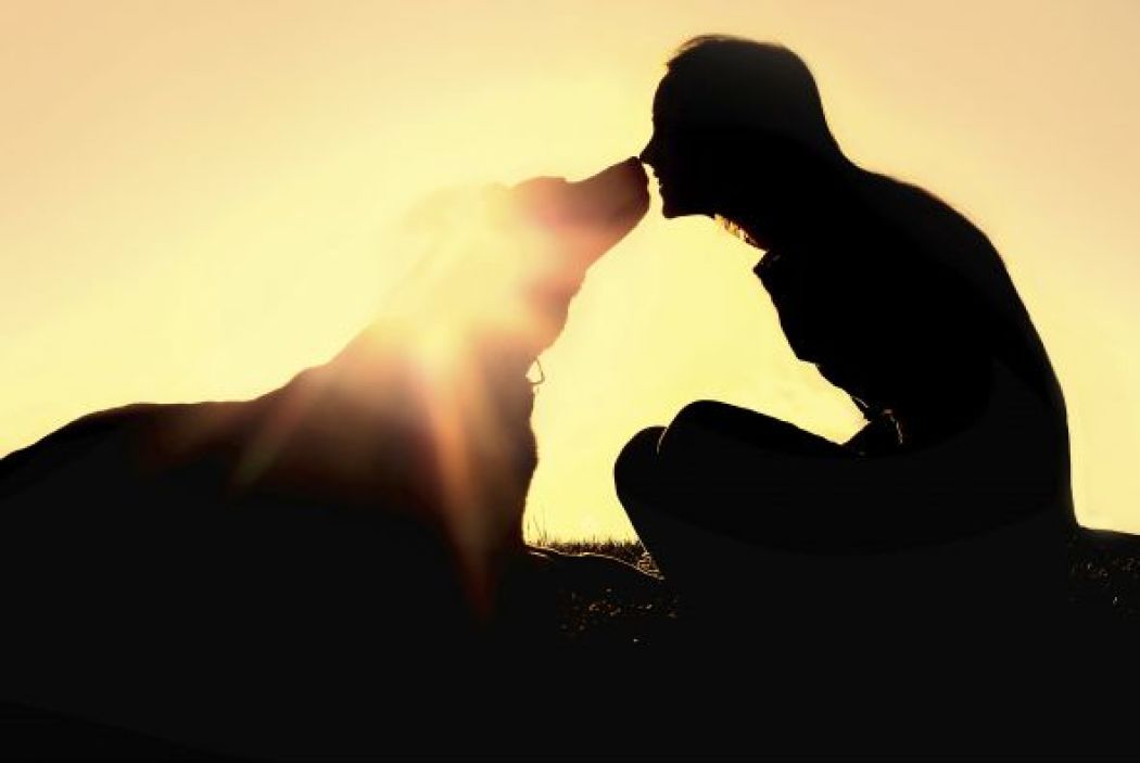 Tocando corazones y despertando conciencia