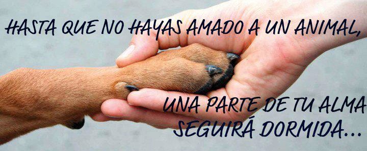 mano-y-patita