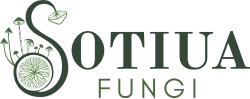 Sotiua-Isologo_Fungi 200x99